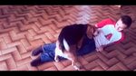 Junge wird von Hund gefickt *UNGLAUBLICH* - YouTube